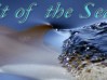 SPIRIT OF THE SEA
