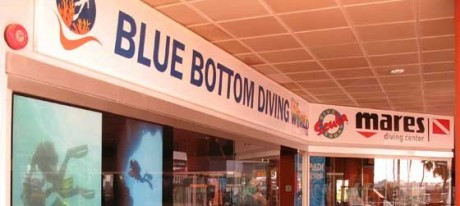 Blue Bottom Diving 