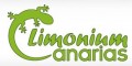 Limonium Canarias