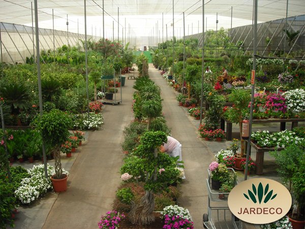 Cercados y ocultación para jardines en Tenerife - Lalyflor